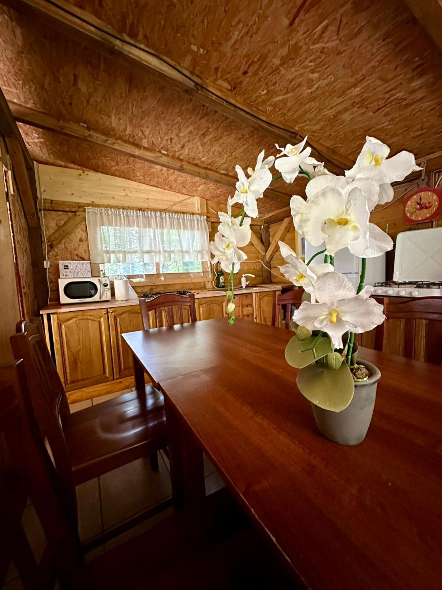 Отель Glamping Krn Кобарид Экстерьер фото
